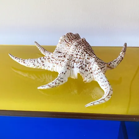 Studio_suite05 Διαμέρισμα Alba Adriatica